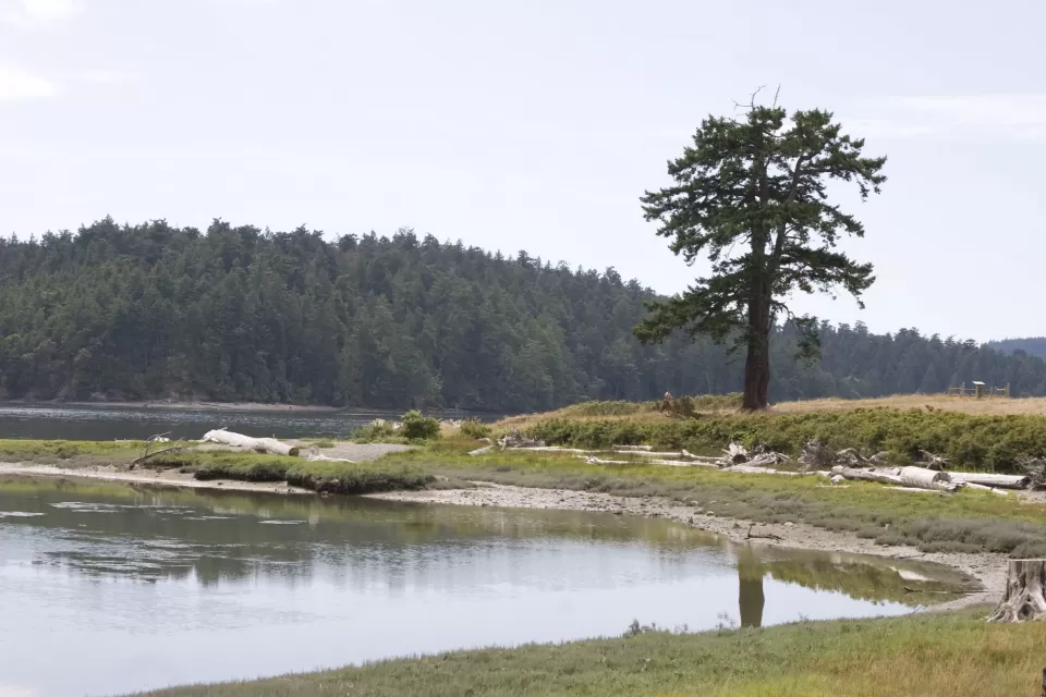 Swinomish Channel Washington